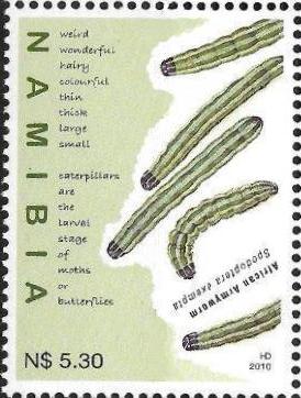 Spodoptera exempta
