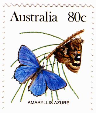 Ogyris amaryllis
