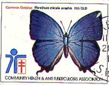 Arhopala micale